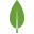 MongoDB